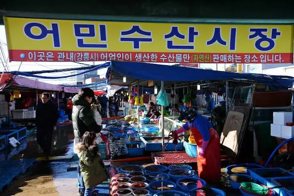 강릉 주문진수산시장 동해안 최대 어시장 자연산 회 새우 게 건어물 풍경