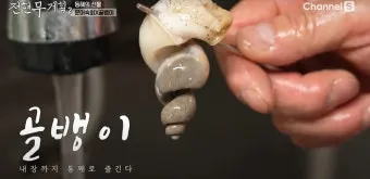 전현무계획2 문어숙회 수제비 골뱅이 맛집 위치 안내_21