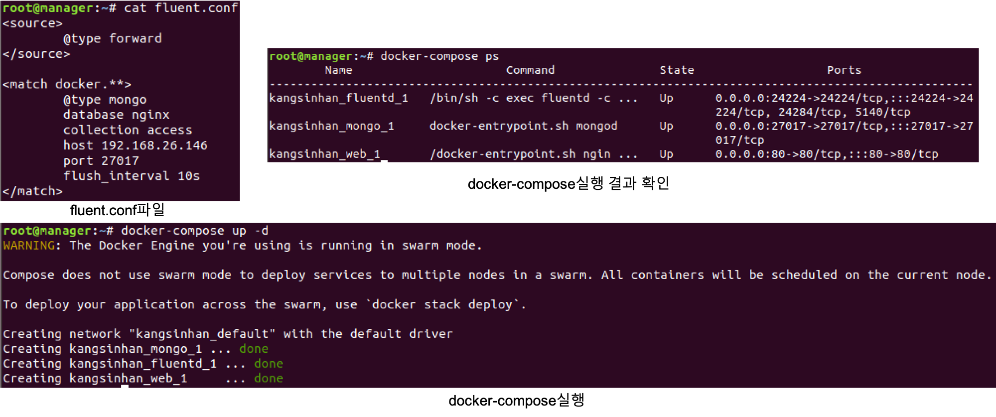 execute docker compose