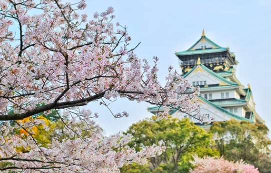 일본