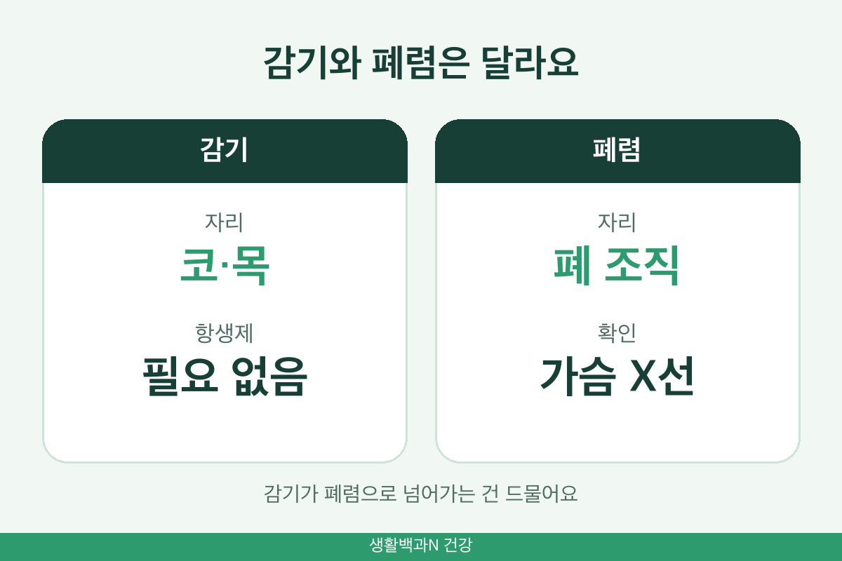 감기 폐렴 차이 비교 염증 자리 항생제 가슴 X선