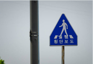 교통법규 위반조회