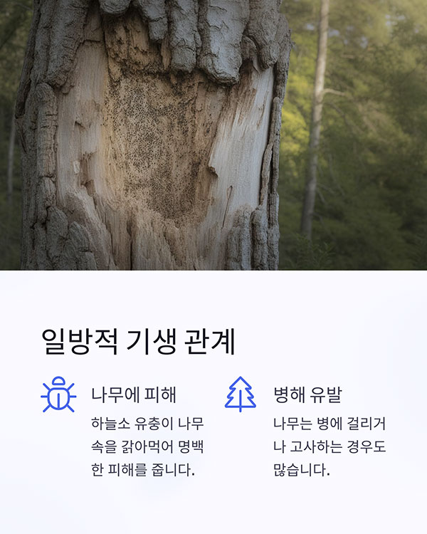 나무, 공생 아닌 일방적 기생 관계