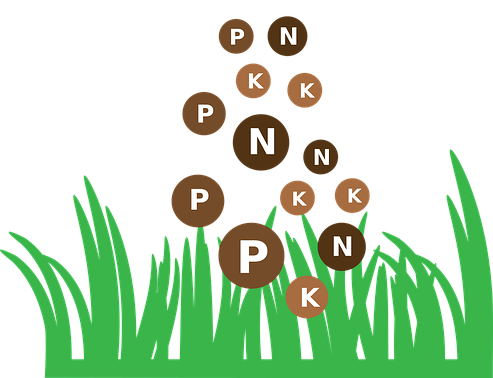 무기질 비료 성분 사진