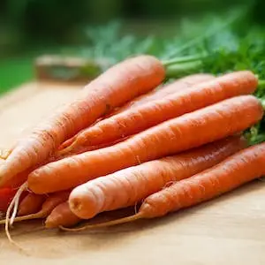 당근-carrot