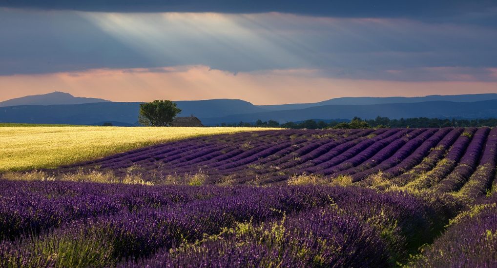 프랑스 프로방스 여행 관련 사진