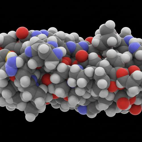 콘드로이친 부작용