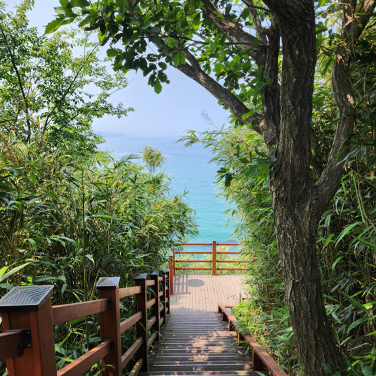 덕봉산 해안생태탐방로