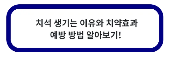 치석 생기는 이유