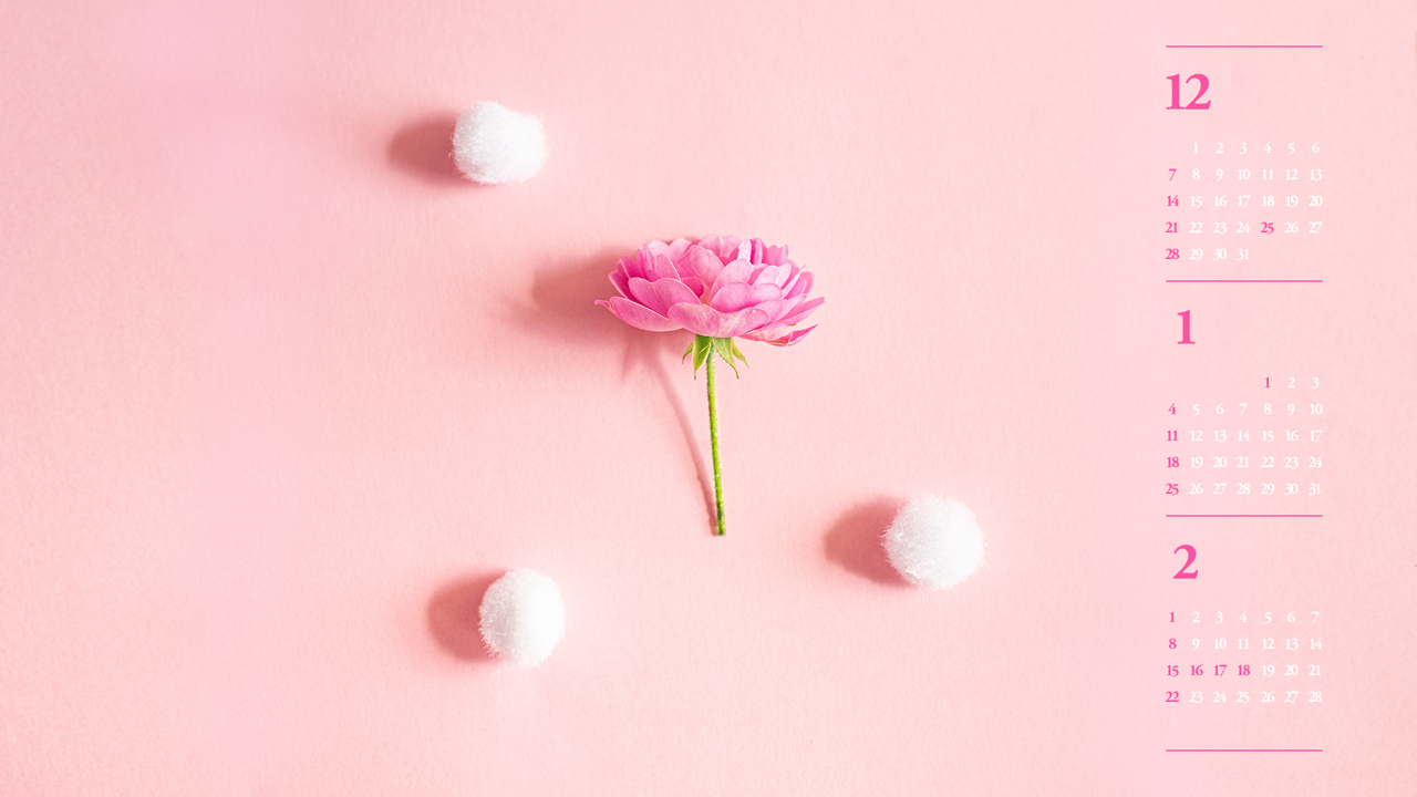 07 모란꽃 한송이 B - 2026년1월 달력배경화면