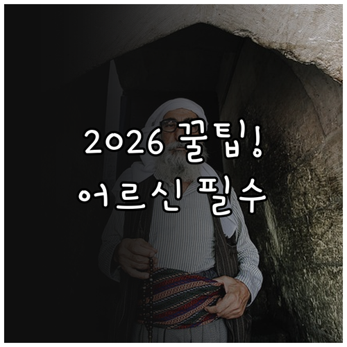 2026년 달라진 어르신 스포츠 상품..