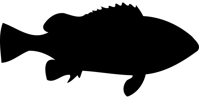 천일염 가격