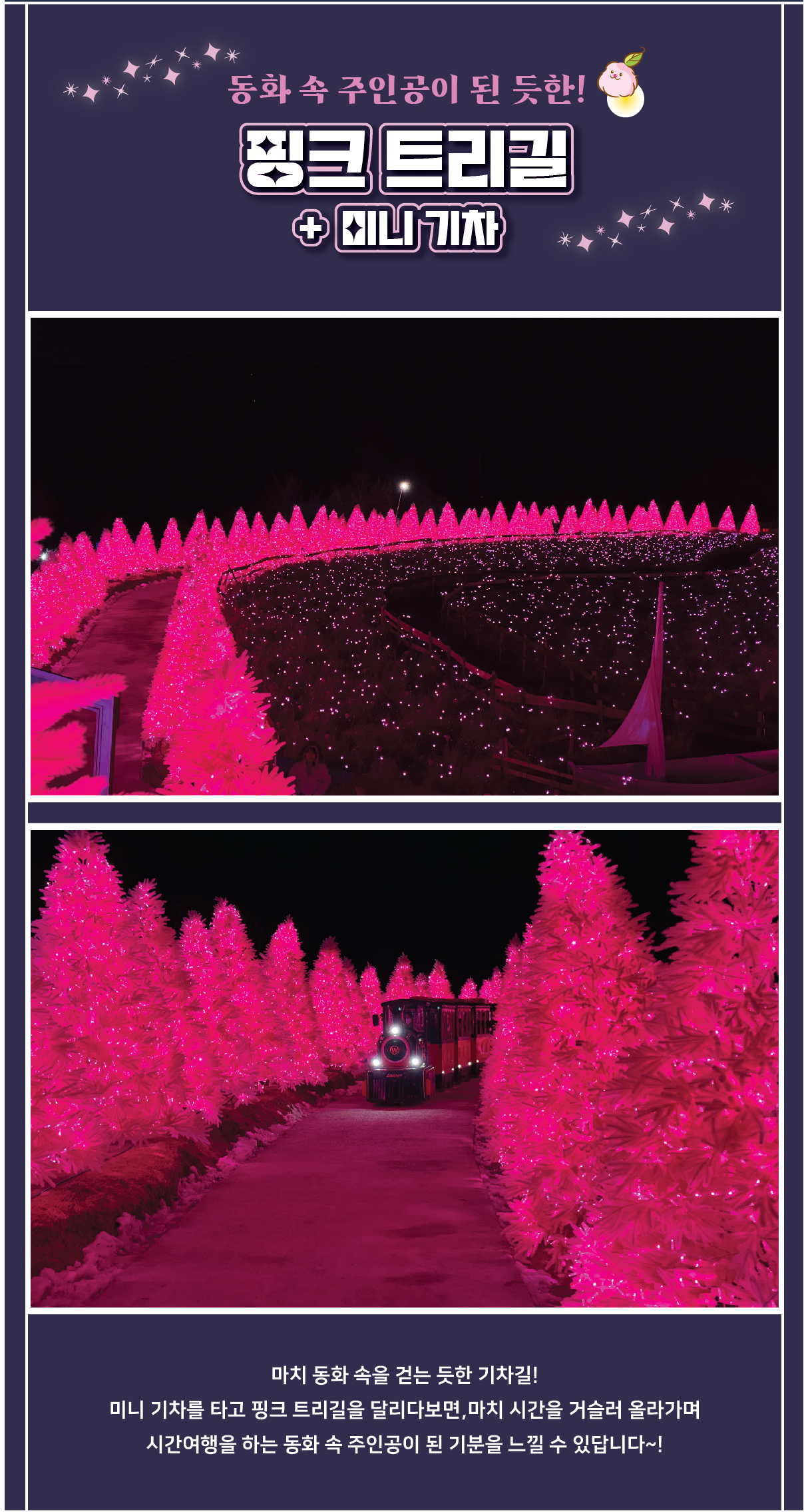 포천 허브 아일랜드 핑크 빛으로 말하다 프로그램