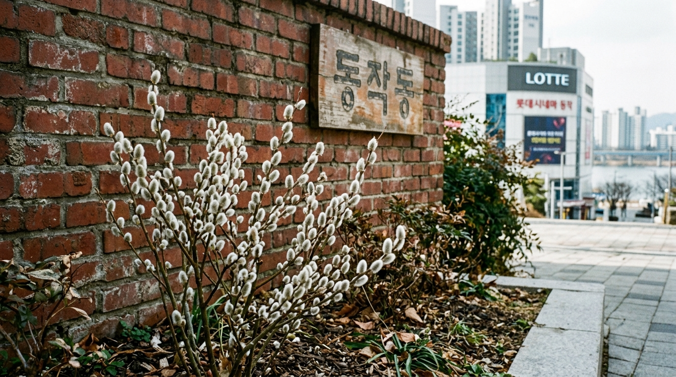 현대 동작동의 아름다운 자연