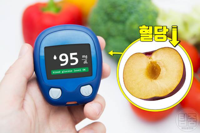 자두 효능 혈당 자두하루섭취량 자두부작용