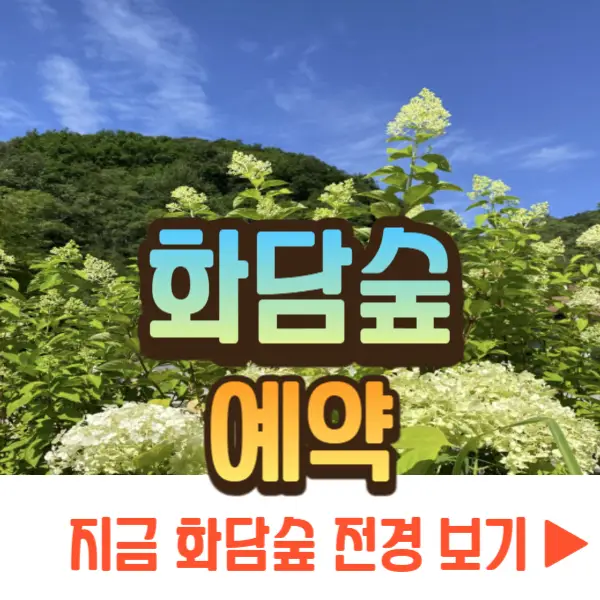 화담숲 예약