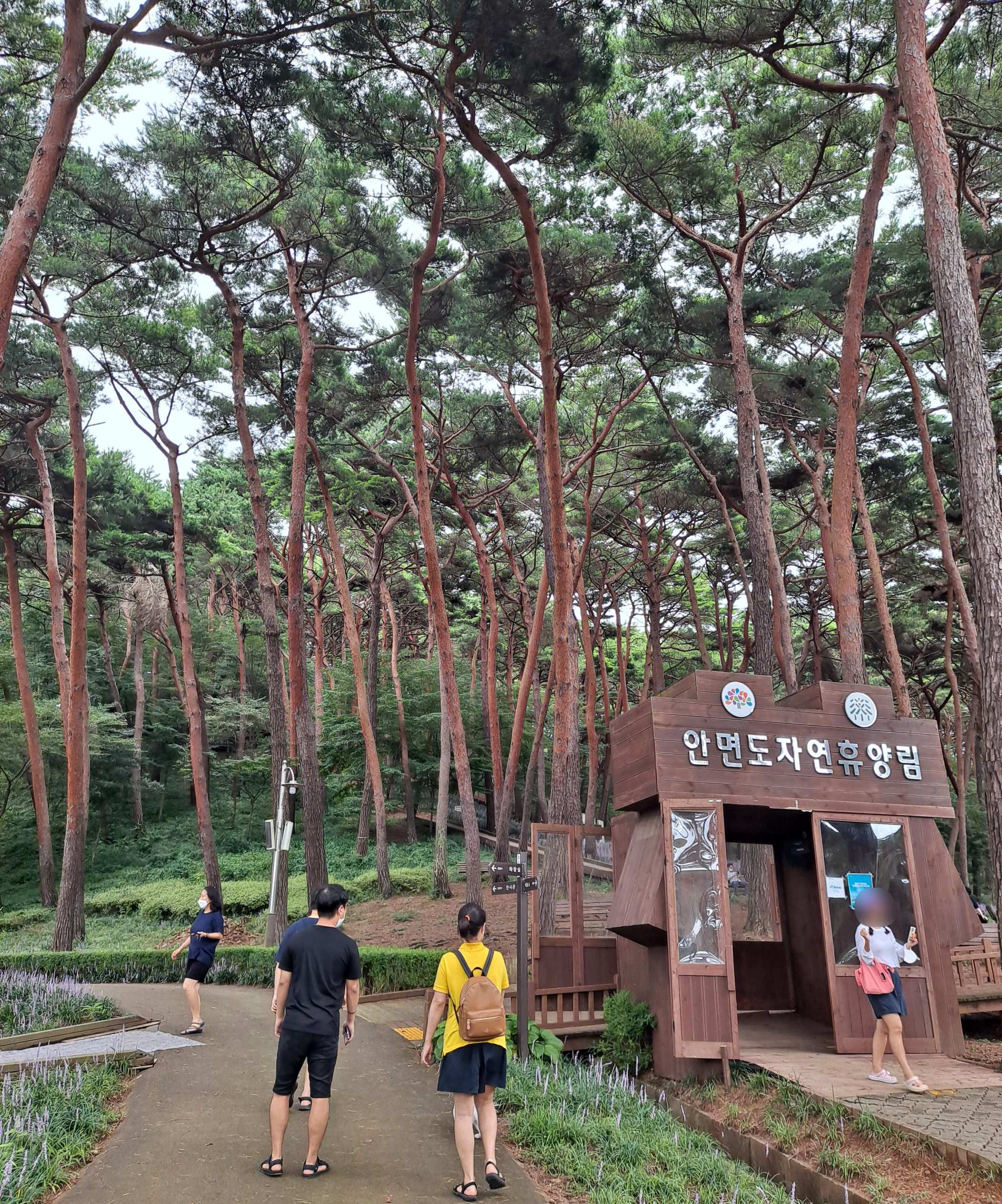 안면도휴양림 쉼터