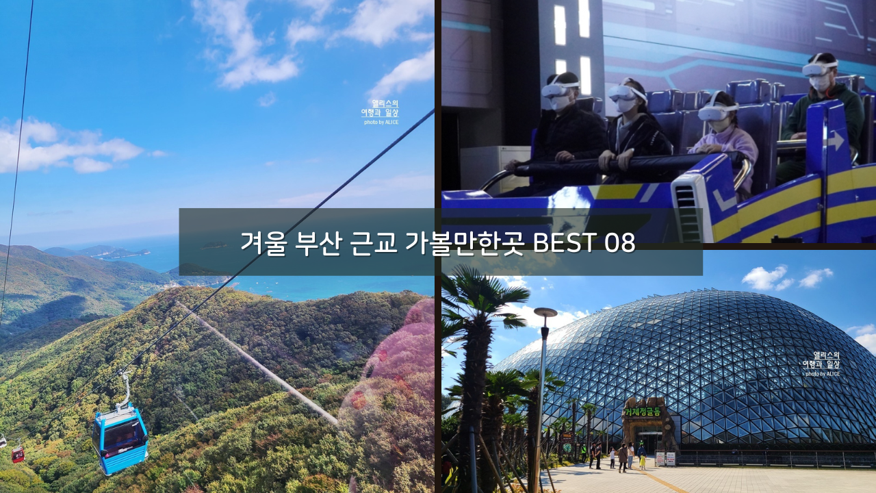 겨울 부산 근교 가볼만한곳 당일치기 추천 BEST 08