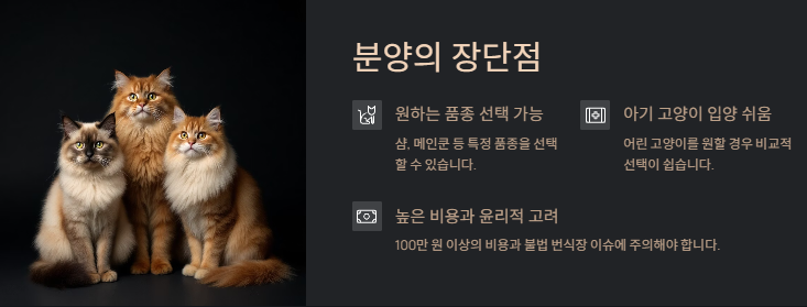 고양이 키우기: 초보집사를 위한 입분양부터 준비물 및 주의사항