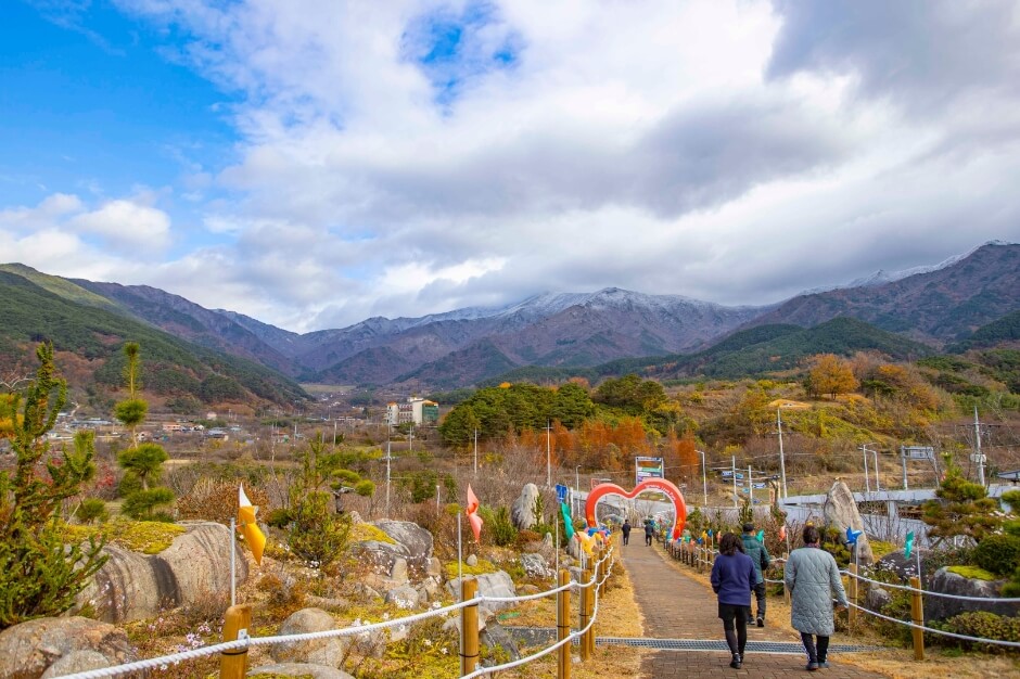 구례산수유꽃축제