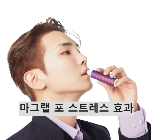 마그랩 포 스트레스 효과