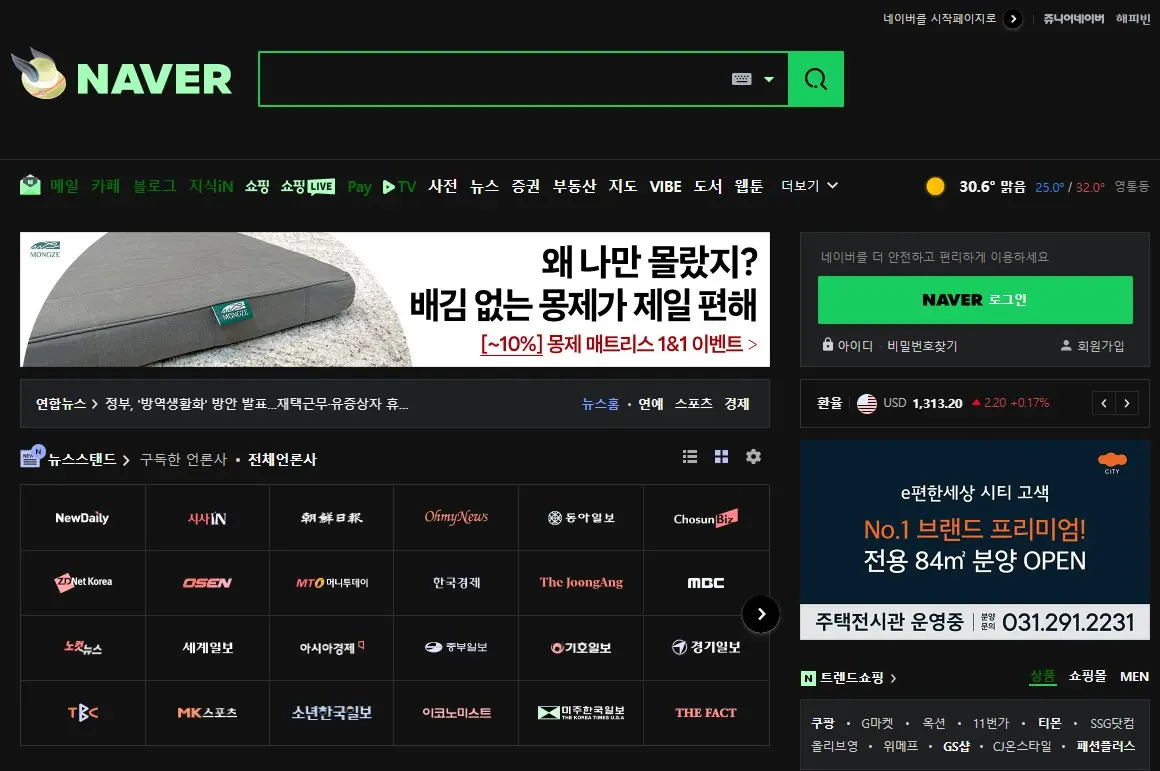 크롬브라우저 다크모드 적용방법 캡처7