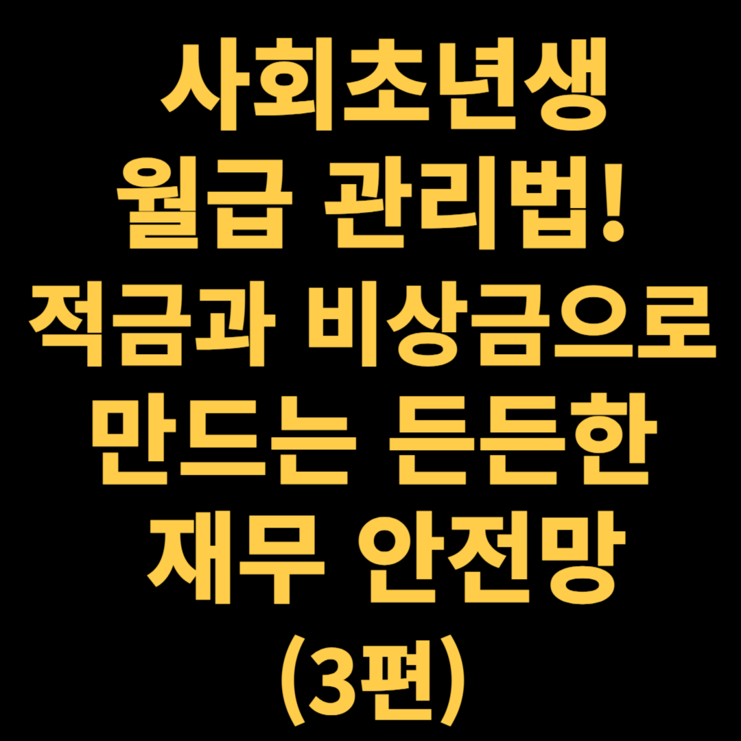 📊 사회초년생 월급 관리법! 적금과 비상금으로 만드는 든든한 재무 안전망 (3편) - 대표이미지
