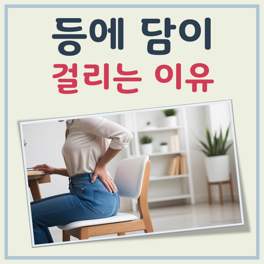 등에 담이 걸리는 이유