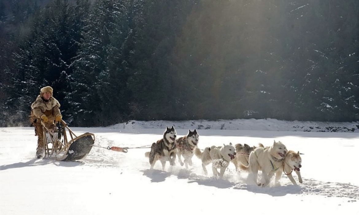 이색적인 교통수단 체험기 – 열기구, 개썰매, 수중택시