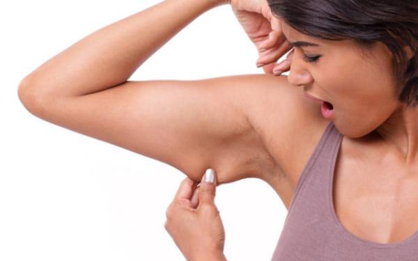 2주 팔뚝살 빼기 돌핀푸시업,숀리 팔뚝살빼는운동 추천