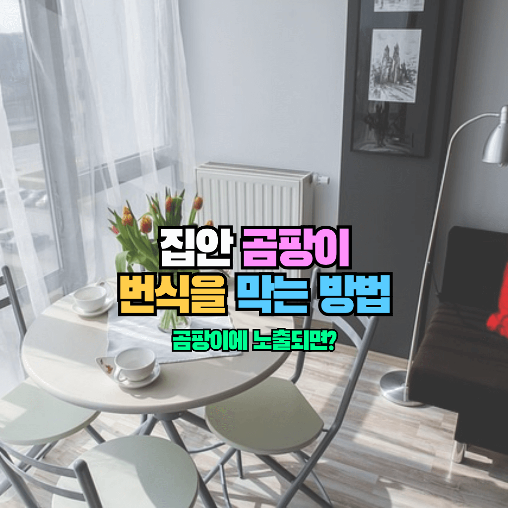 집안 곰팡이 번식을 막는 방법: 곰팡이에 노출되면?