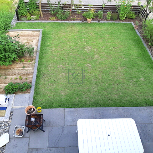 주택 마당에 잔디와 텃밭이 있습니다.