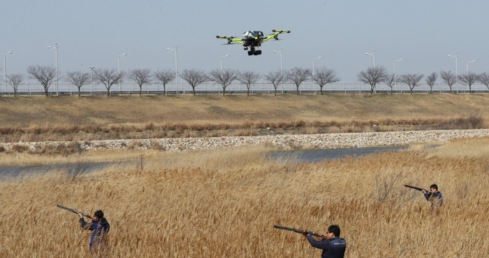 버드스트라이크 - 항공기 사고의 원인