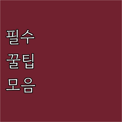 자동차 검사: 종류, 준비물, 예약 ..