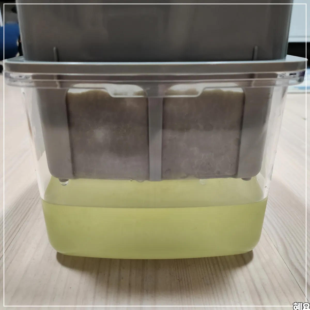 2차-분리된-유청