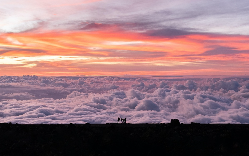 파도에 실린 알로하, 하와이 바다로 떠나는 여행