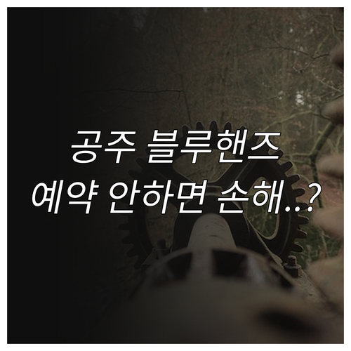 공주 블루핸즈 방문 전 필수 체크리스..