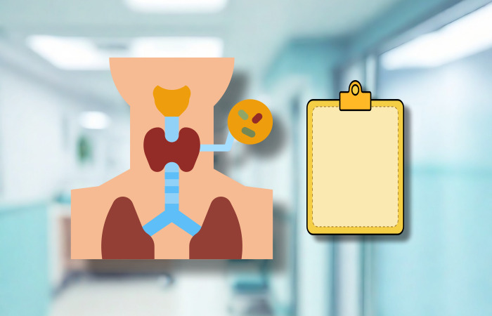 그림으로-표현한-갑상선