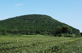 제주도-배-타고-가는-방법