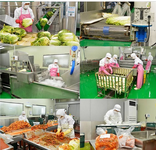 극한직업-여름김치-광주-김치공장