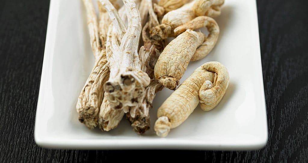 도라지 효능ㅣ도라지 부작용ㅣ도라지 섭취법 활용법