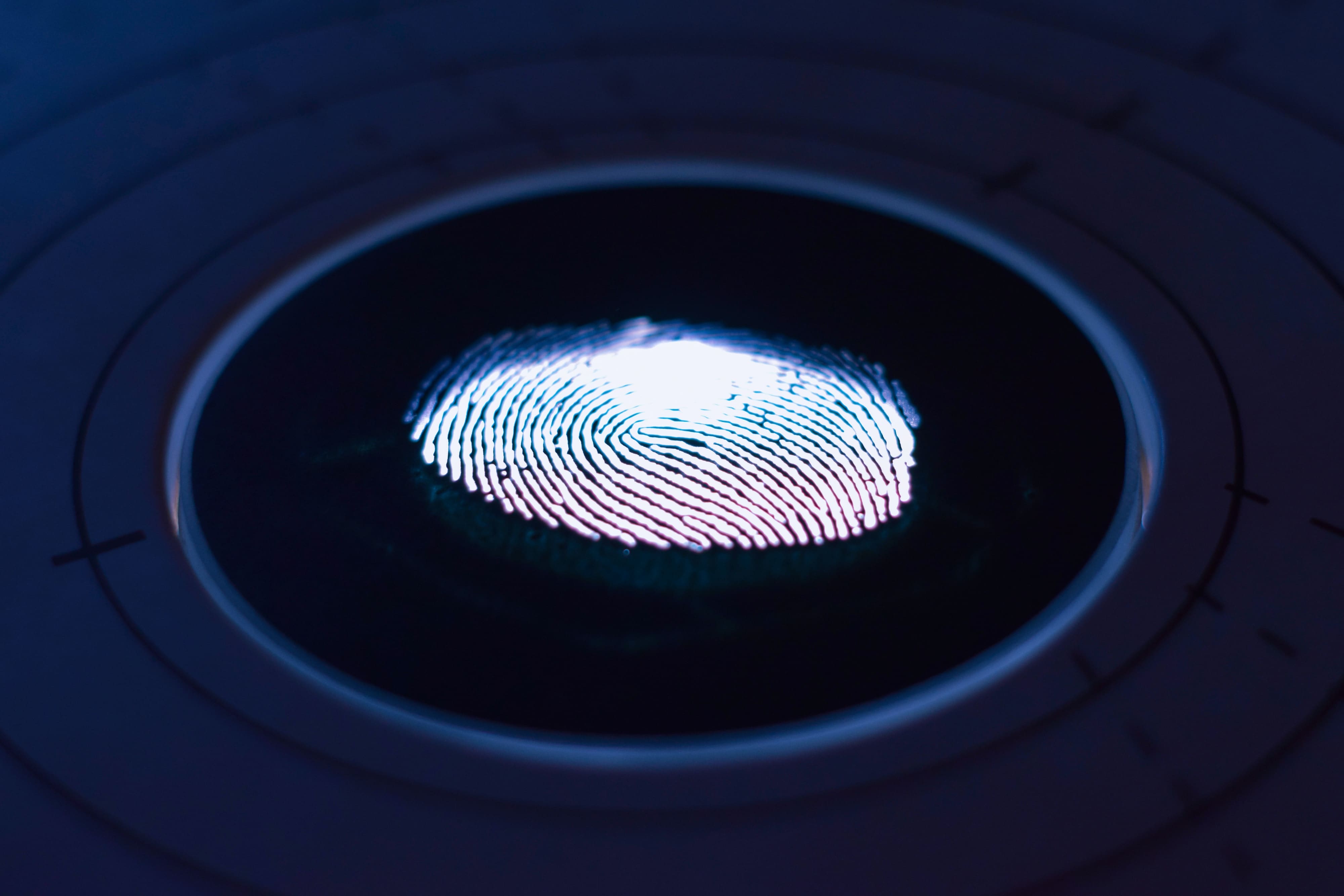 Stylish feel of fingerprint recognition