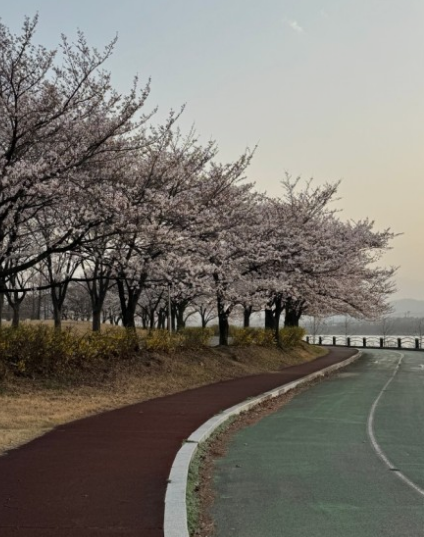 경북 구미 가볼만한곳 여행지 TOP 7곳