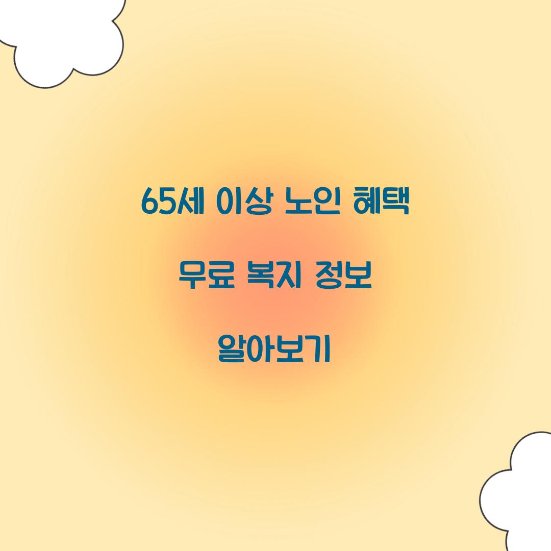65세 이상 노인 혜택