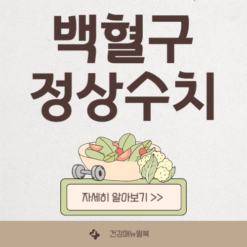 백혈구 WBC 정상 수치