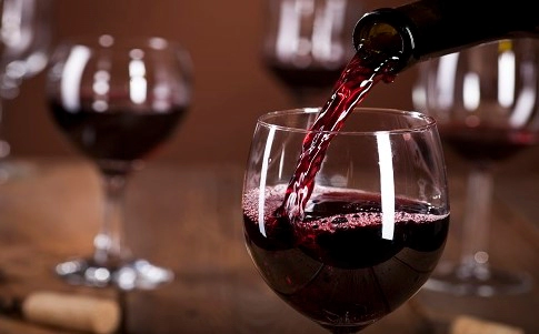 카테킨 많은 음식 