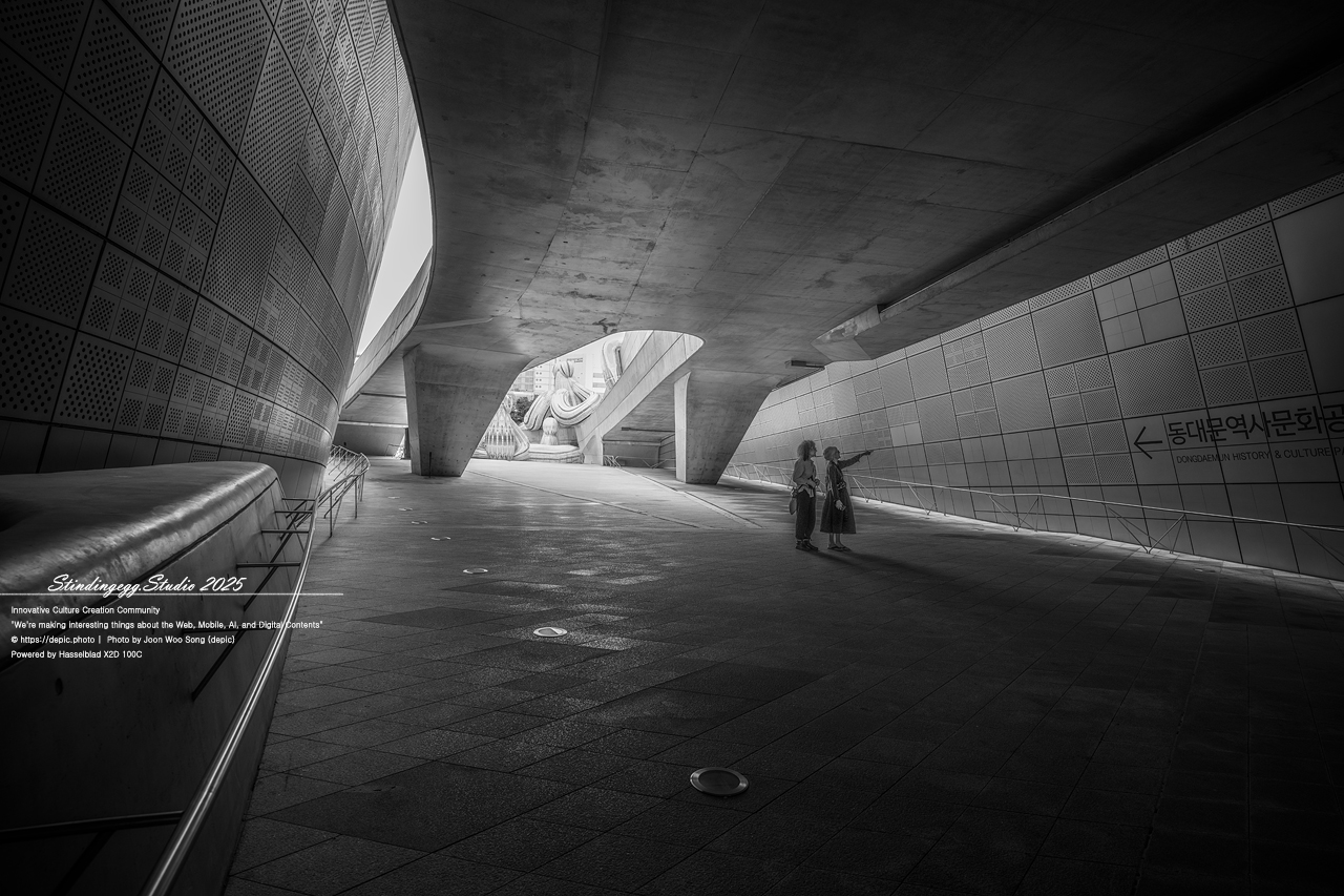 #서울 #동대문디자인플라자 #패션 #디자인 #DDP