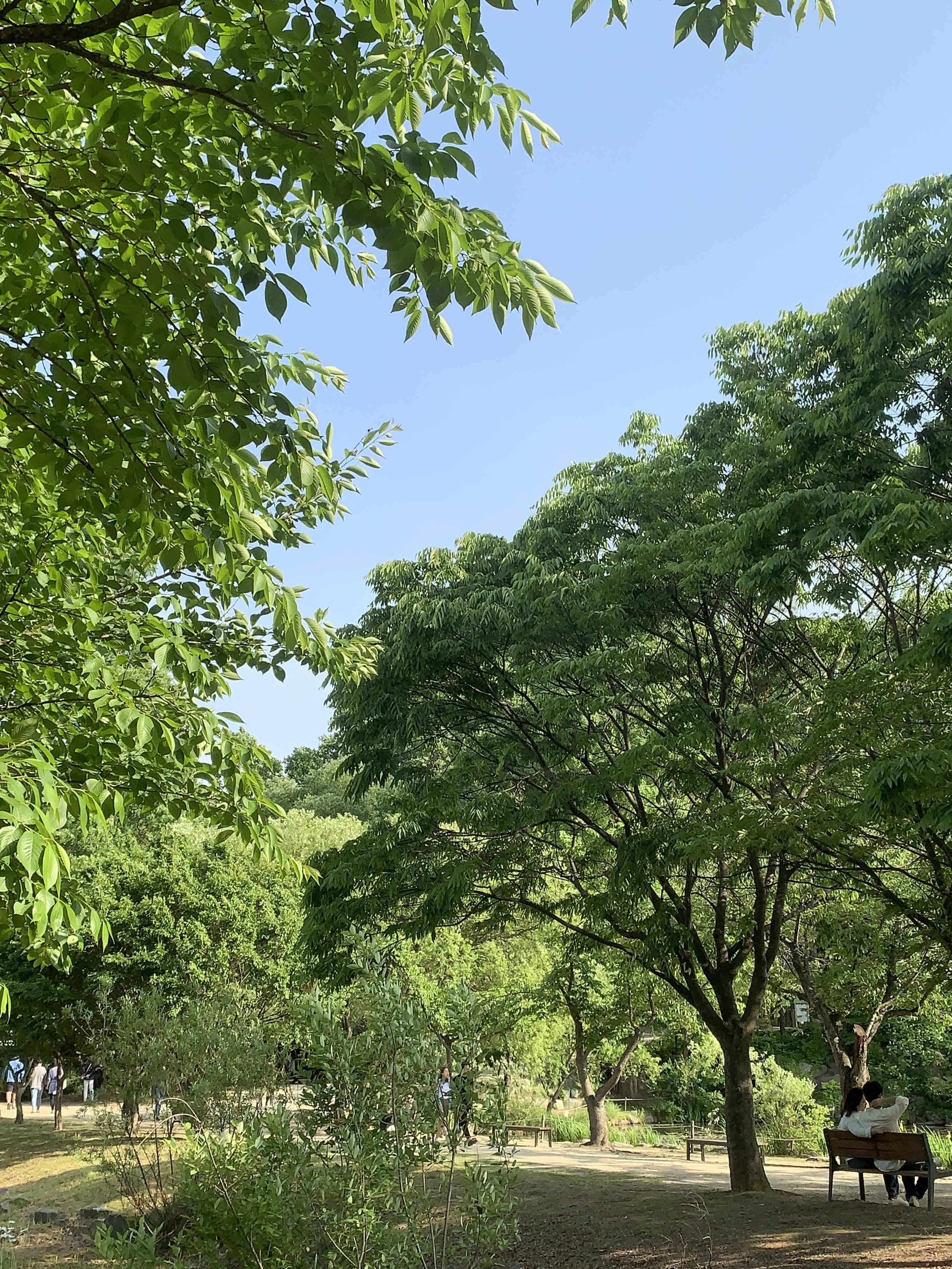 오산 물향기수목원