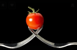 토마토 보관법