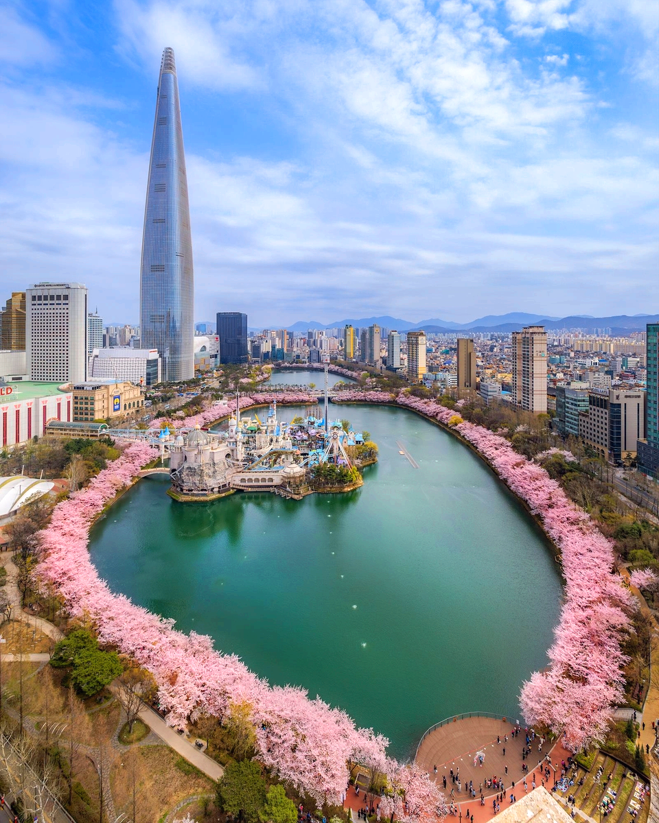 석촌호수벚꽃축제